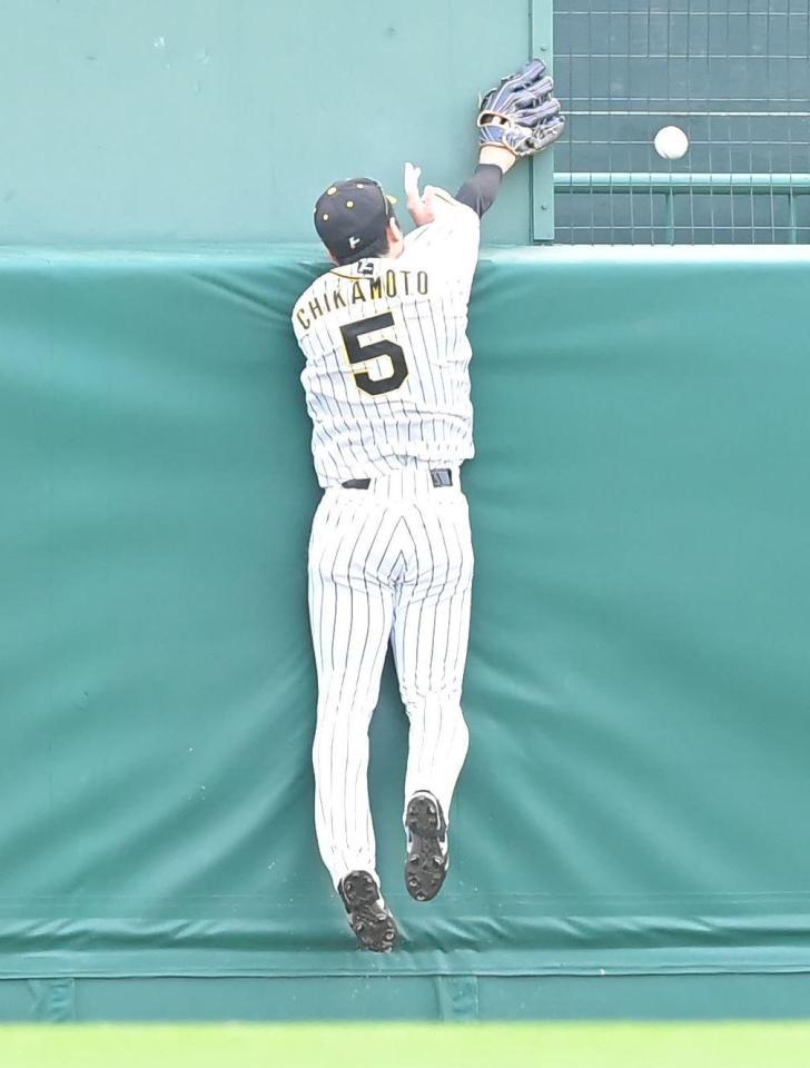 　６回、ウィーラーの打球に飛びつくも取り損ねる近本（撮影・高部洋祐）