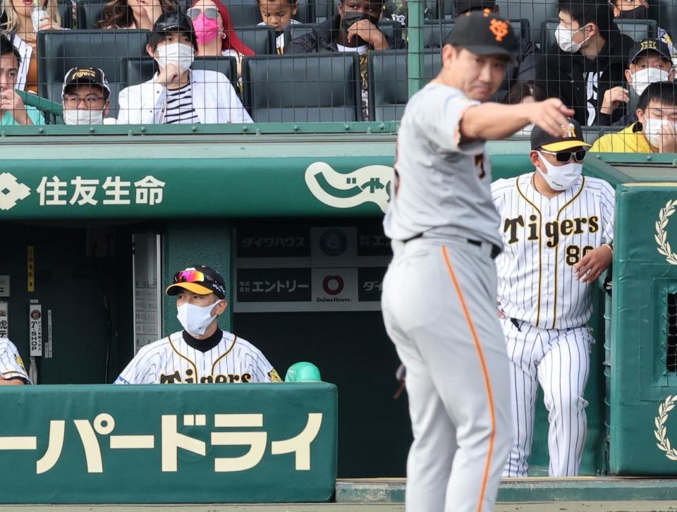 　菅野（手前）に抑えられる打線。ベンチで険しい表情の矢野監督（撮影・田中太一）