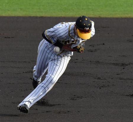 ３回、吉川の打球をファンブルする中野（撮影・神子素慎一）