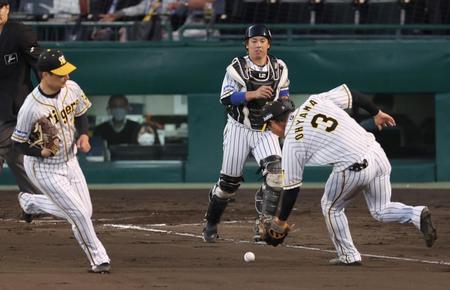 ８回、丸佳浩のバントを大山が追うもが内野安打となる＝撮影・田中太一