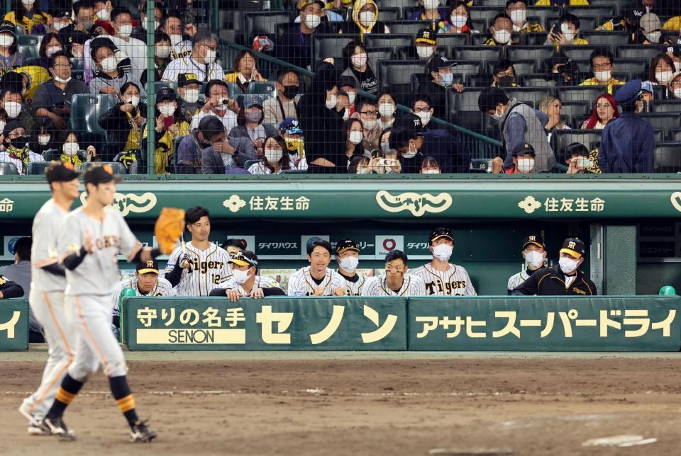 喜ぶ巨人ナインをベンチから見つめる矢野監督（右から２人目）とナイン（撮影・田中太一）
