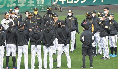　秋季練習前、ナインを集めて話をする井上コーチ（中央）＝撮影・田中太一