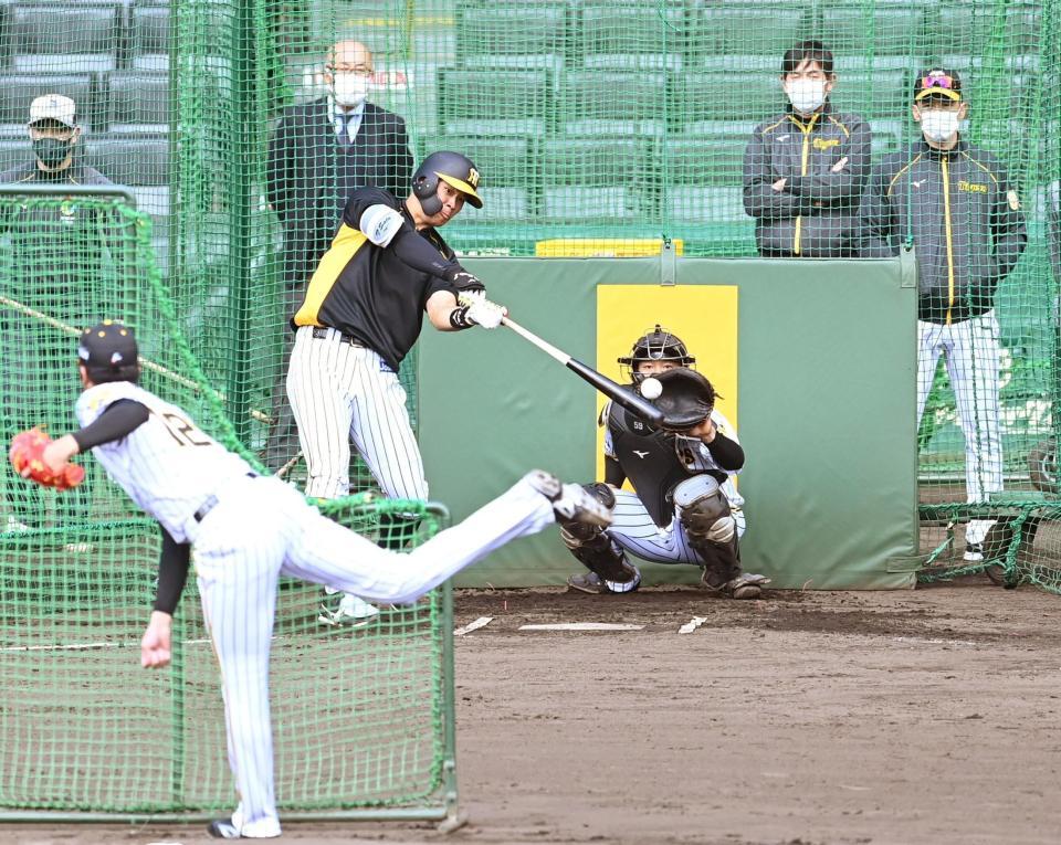 矢野監督（後方右端）が見守る中、佐藤輝から空振りを奪う才木（撮影・飯室逸平）