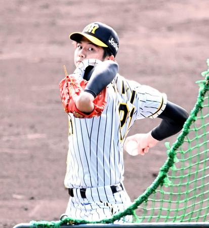 　ランチ特打に登板する才木（撮影・飯室逸平）