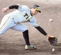 　ノックを受ける井上（撮影・田中太一）