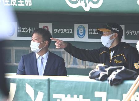 　矢野監督と話す野村コーチ（撮影・飯室逸平）