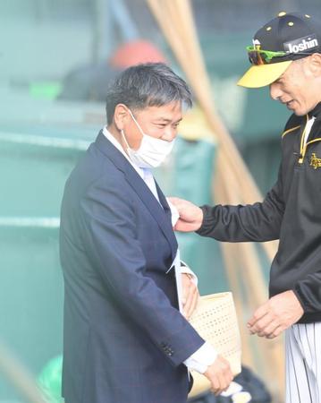 　矢野監督と話す野村コーチ（撮影・飯室逸平）