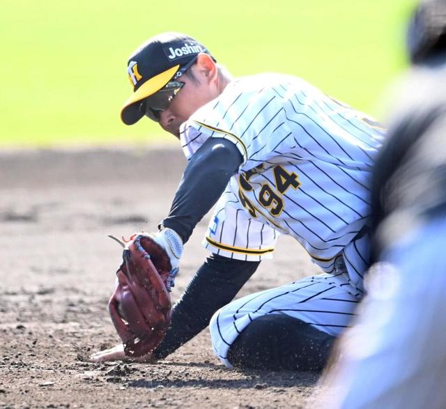 阪神　大山“外野コンバート”で三塁は激戦区に　糸原、原口、佐藤輝も