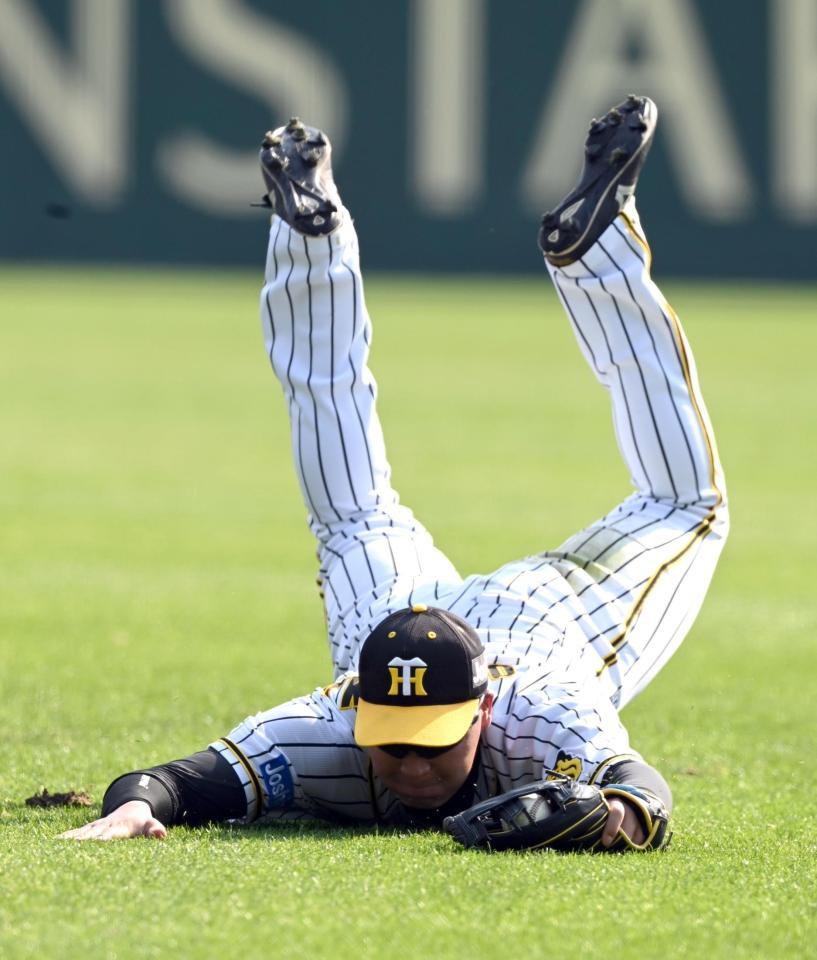 　ノックの打球を捕球し、大山はえび反りになる（撮影・山口登）