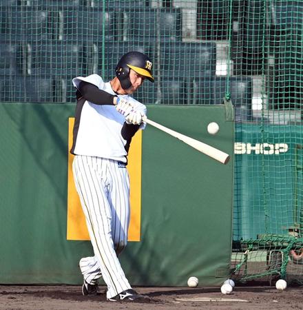 　打撃練習する小幡（撮影・山口登）