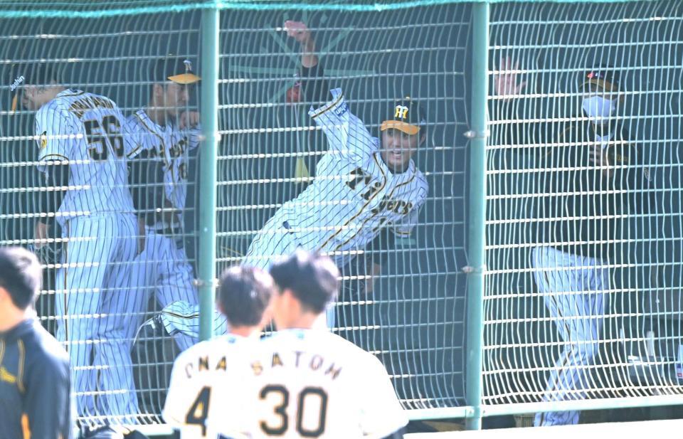 　ブルペンで力投する藤浪（中央、右は矢野監督）