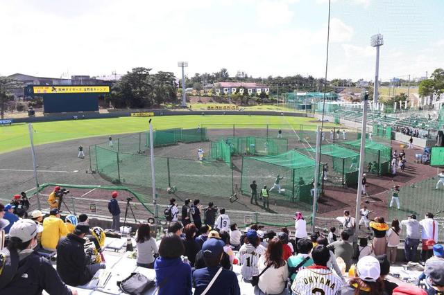 宜野座に阪神ファンが帰ってくる！春季キャンプ観客制限解除　臨時１２球団代表者会議