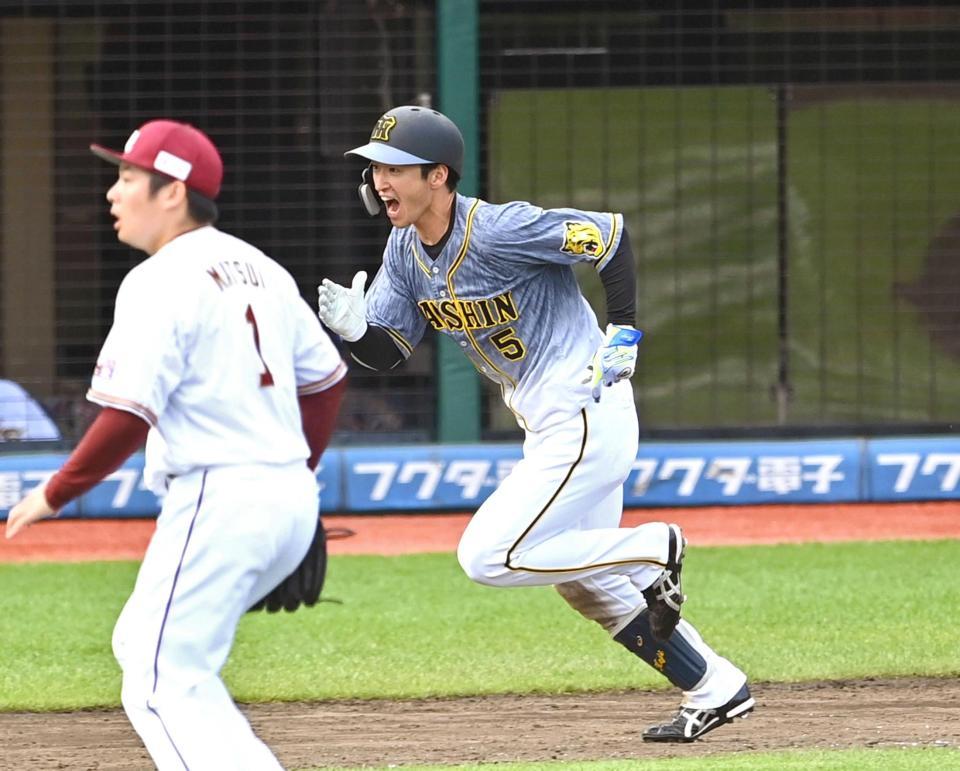 　９回、２死三塁で決勝タイムリーを放ち雄叫びを上げる近本＝６月１３日、楽天生命パーク