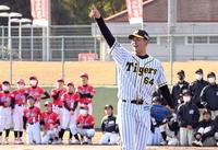 少年野球のチームと対決し、打球を見上げる阪神・岡留英貴＝鹿児島・ビーラインスポーツパーク姶良　野球場（撮影・田中太一）