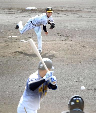 　今春のキャンプの紅白戦で先発を務める西純