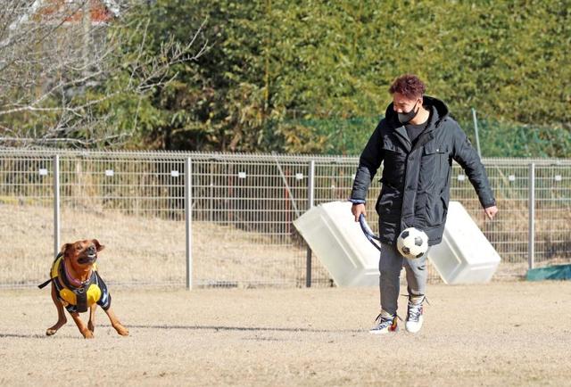 阪神 秋山 アニマル ドネーションで１００万円寄付 めちゃくちゃ犬が好きだから 阪神タイガース デイリースポーツ Online