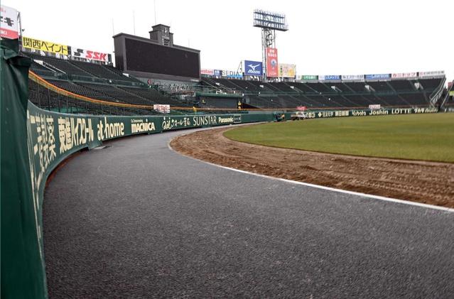 阪神 甲子園改革 第３弾は国際基準 ウォーニングゾーン４ ５７ｍに拡大 守備に好影響も 阪神タイガース デイリースポーツ Online