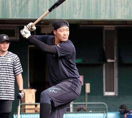 　打席で構える大山（阪神タイガース提供）