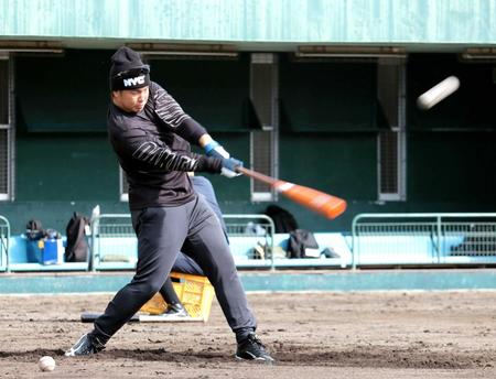 　マシン打撃で快音を響かせる梅野（阪神タイガース提供）