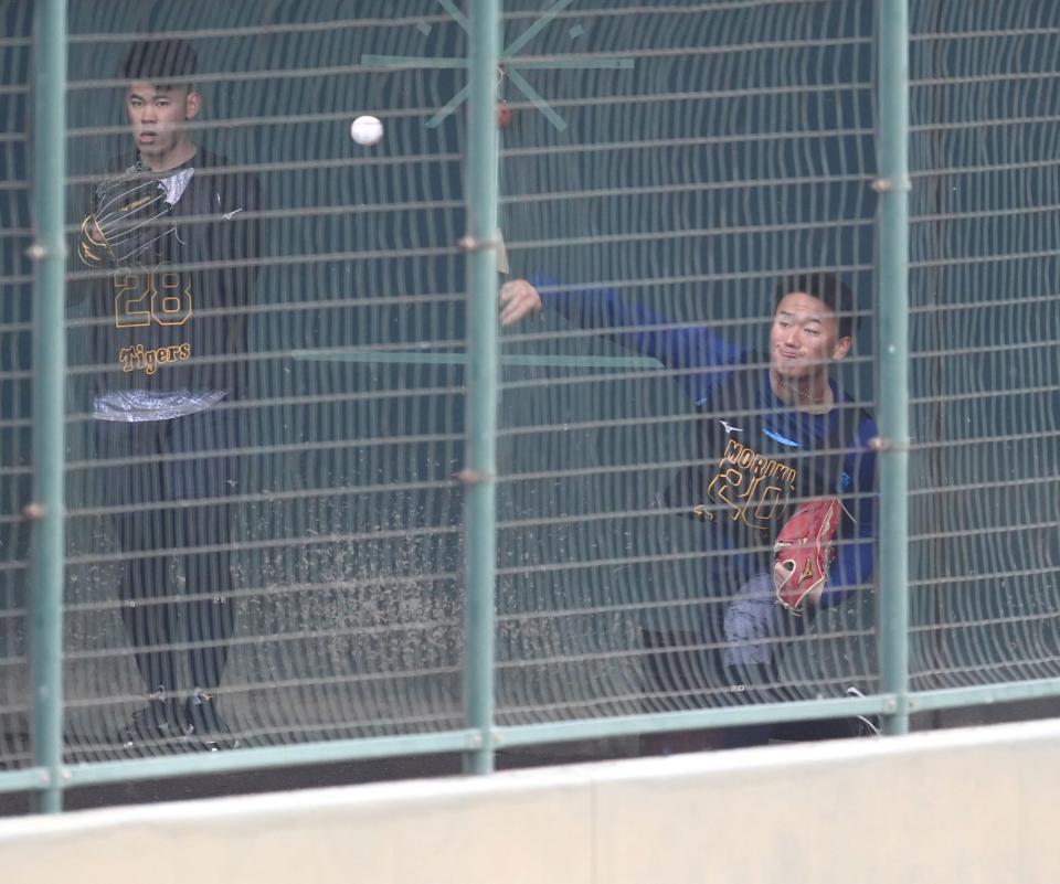 　ブルペン入りし、投球する森木（右）と鈴木（撮影・飯室逸平）