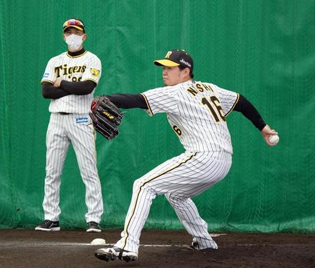 矢野監督（左）が見守る中、ブルペンで投球する西勇（撮影・山口登）