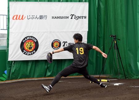 　藤浪はブルペンで入念に投球フォームを確認しながらシャドーピッチをする（撮影・山口登）