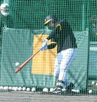 　打撃練習をする井上（撮影・石井剣太郎）