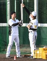 阪神・江越 ラオウ参考の新フォームで柵越え連発 打撃覚醒も
