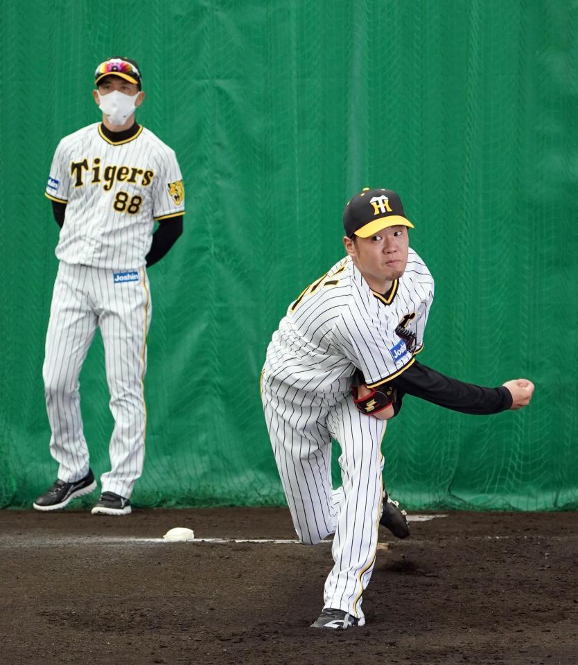 阪神・矢野燿大監督（左）が見守る中、ブルペンで投球する阪神・西勇輝＝宜野座球場（撮影・山口登）