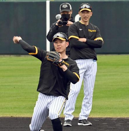 　矢野監督（奥）が見る中、ノックを受ける糸原（撮影・田中太一）