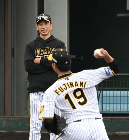 にこやかに藤浪の練習を見守る矢野監督（撮影・飯室逸平）