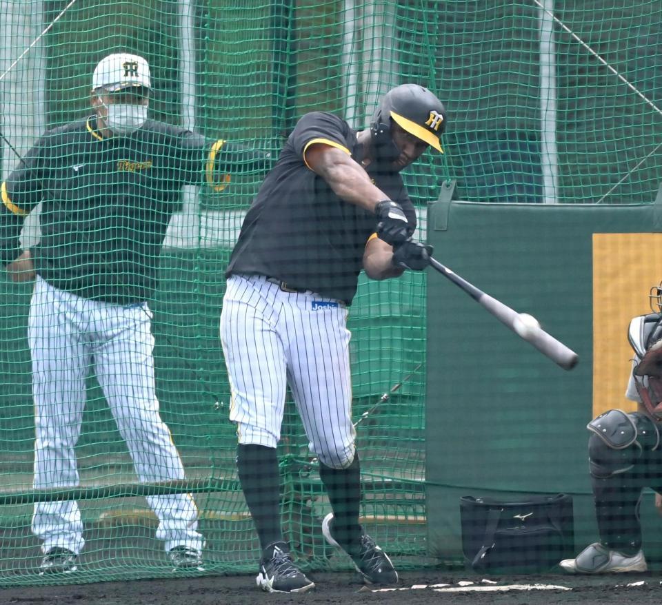 　藤井康コーチが見守る中、打撃練習をするロハス（撮影・飯室逸平）