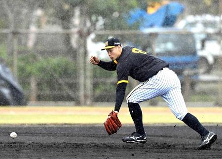 　雨の中、ノックを受ける佐藤輝（撮影・山口登）