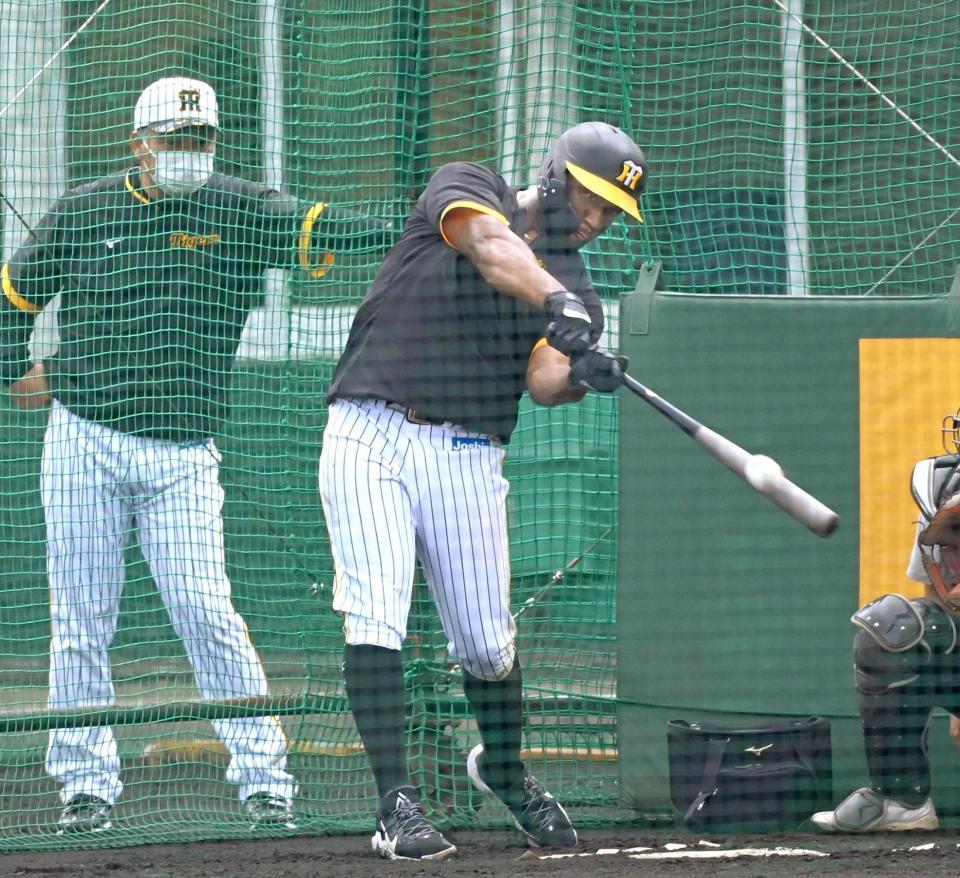 　藤井康（左）コーチが見守る中、打撃練習するロハス（撮影・飯室逸平）
