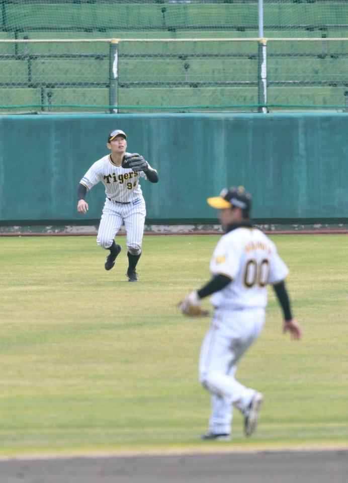 　外野で守備練習をする原口（撮影・石井剣太郎）