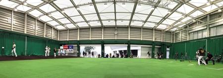 ブルペンで投球練習する阪神・藤浪晋太郎の打席に阪神ジェフリー・マルテが立つ＝宜野座球場（撮影・山口登）