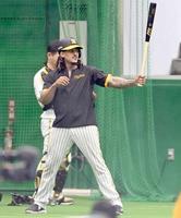 打席に立って藤浪の球筋を見るマルテ（撮影・田中太一）