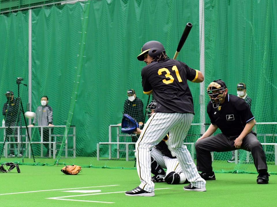 　マルテはブルペンで藤浪の投球する打席に立つ（撮影・山口登）