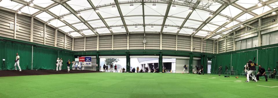 ブルペンで投球練習する阪神・藤浪晋太郎の打席に阪神ジェフリー・マルテが立つ＝宜野座球場（撮影・山口登）