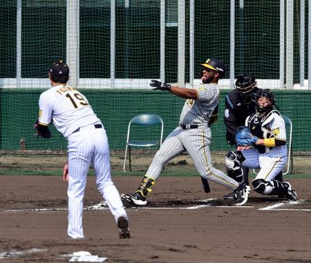 　１回、藤浪はロハスを空振り三振に打ち取る（撮影・山口登）