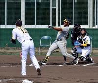 　１回、藤浪はロハスを空振り三振に打ち取る（撮影・山口登）