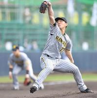 　先発で登板し力投する伊藤将（撮影・西岡正）
