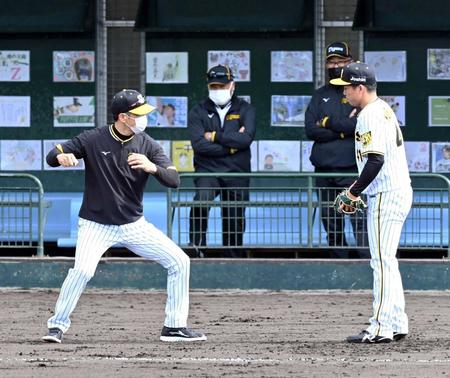 　投内連係で悪送球し、矢野監督（左）から指導を受ける村上（撮影・山口登）