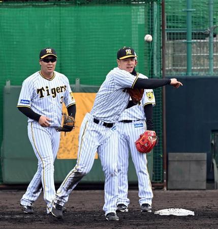 　三塁でノックを受ける佐藤輝（左は大山）（撮影・山口登）