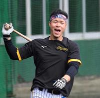 　打撃練習で声を張り上げる佐藤輝（撮影・田中太一）