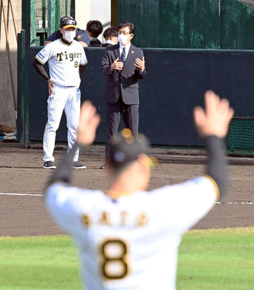 　矢野監督（左）と話しながら、佐藤輝（８）らを視察する侍ジャパン・栗山監督（撮影・山口登）