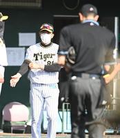 Yahoo!オークション - 阪神タイガース 39 矢野燿大選手 実使用
