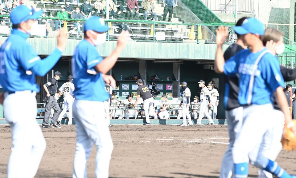 　日本ハムナインが勝利のタッチをかわす中、ベンチで反省会をする阪神ナイン（撮影・高石航平）