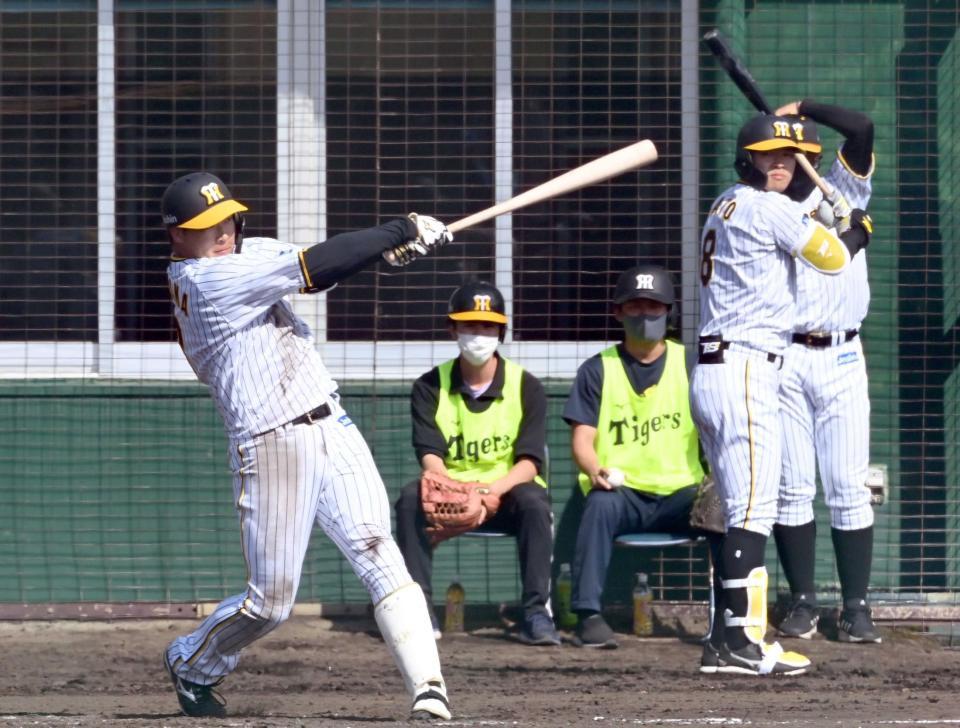 　３回、佐藤輝が控える前でソロを放つ大山（撮影・田中太一）