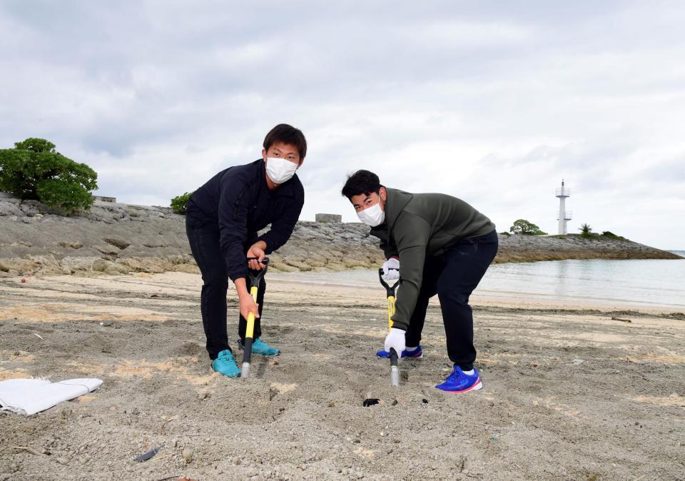 　ビーチの軽石を除去する桐敷（左）と鈴木（撮影・山口登）